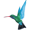 Caribbean Airlines logo