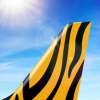 IT284 airline logo