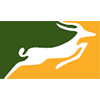 Precision Air logo